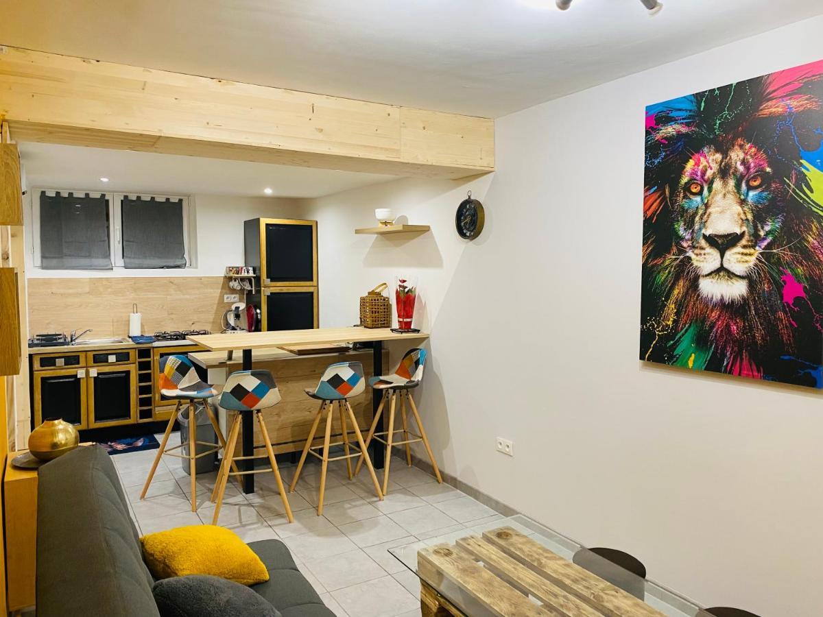 Studio 40M2 Plein Pied Avec Parking Jussac Exterior foto